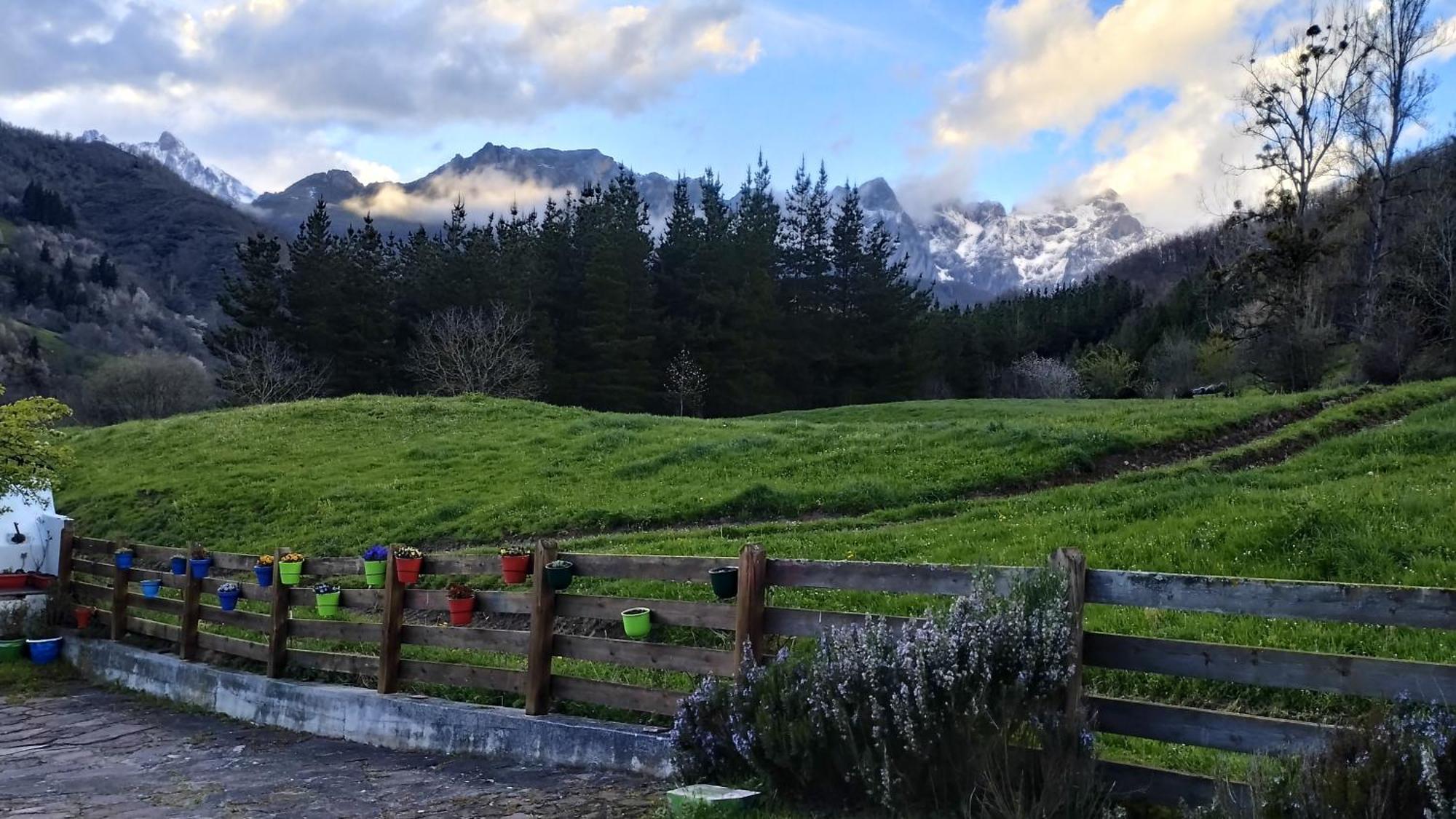 Casas Rurales Y Apartamentos La Hornera Cosgaya Zimmer foto